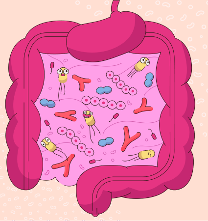 Pourquoi faut-il chouchouter son microbiote intestinal ?